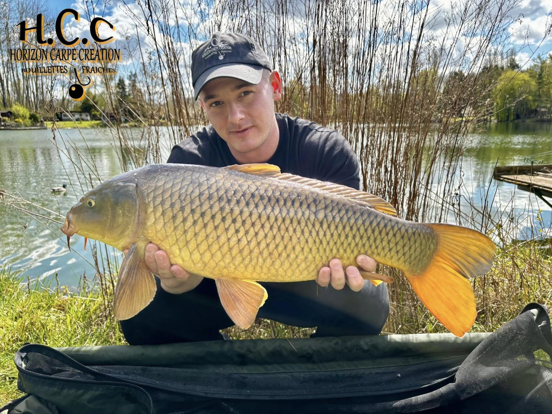 BAPTISTE GRELET - CONSULTANT HCC