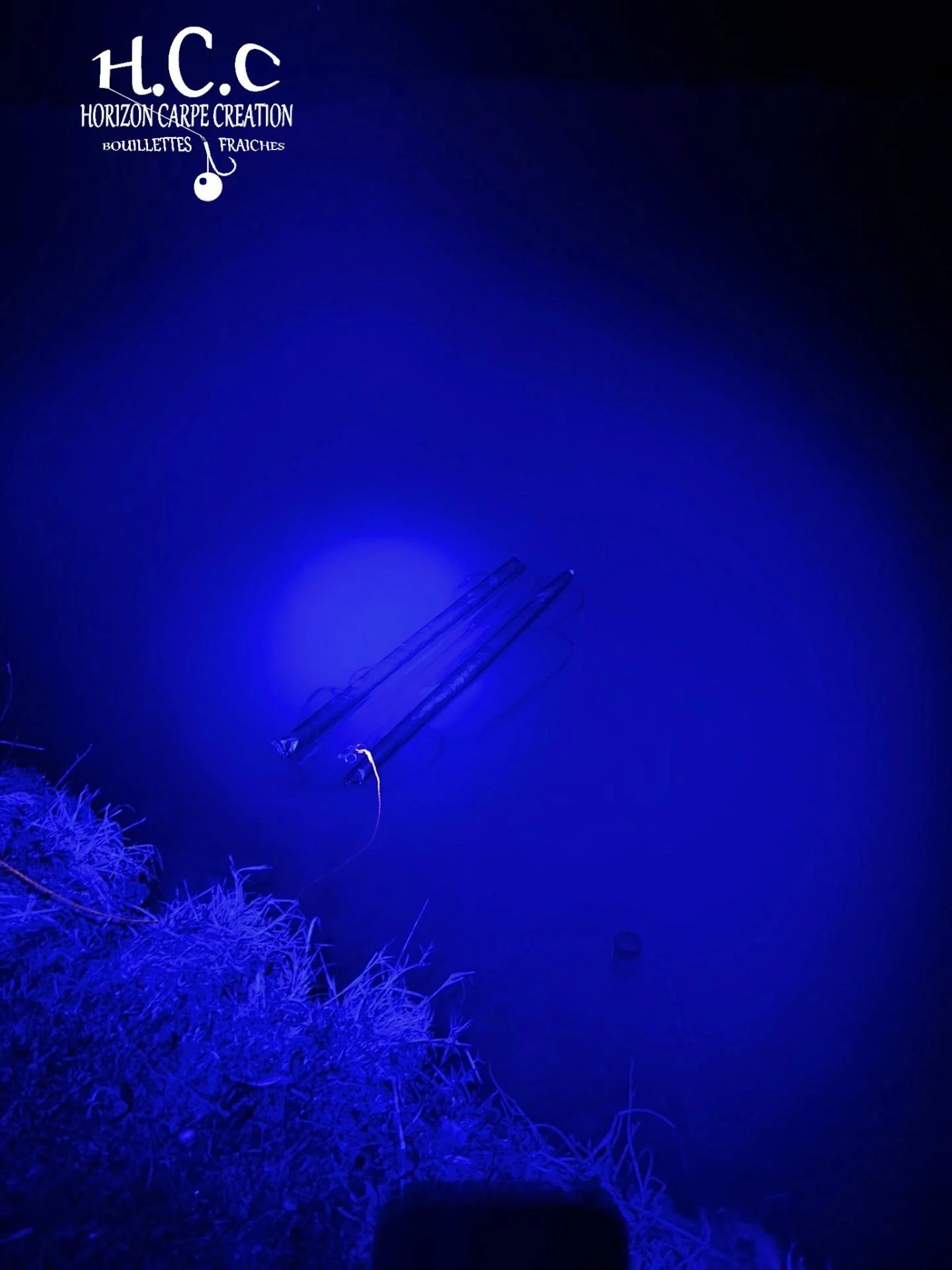 BAPTISTE GRELET - CONSULTANT HCC