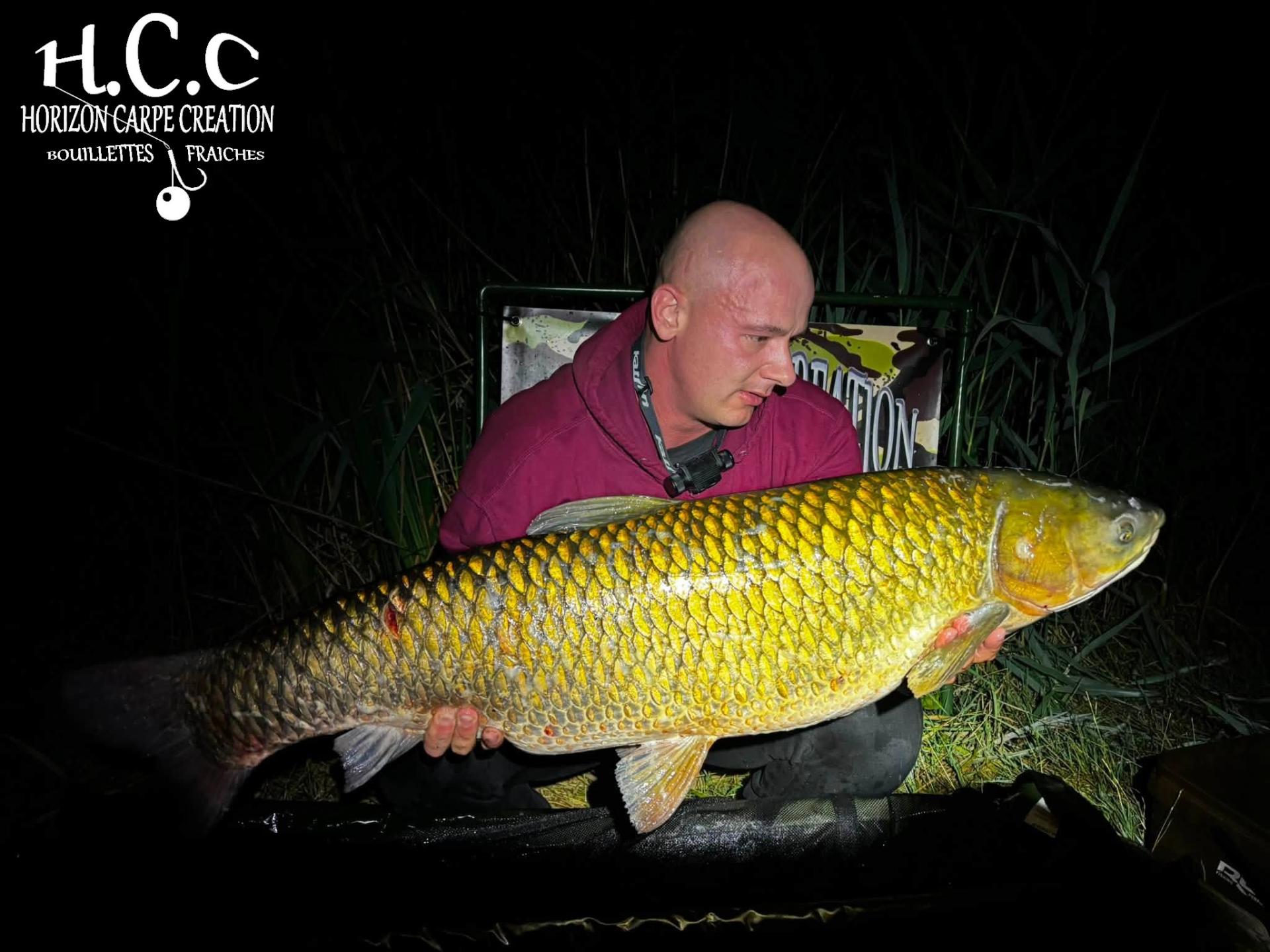 BAPTISTE GRELET - CONSULTANT HCC