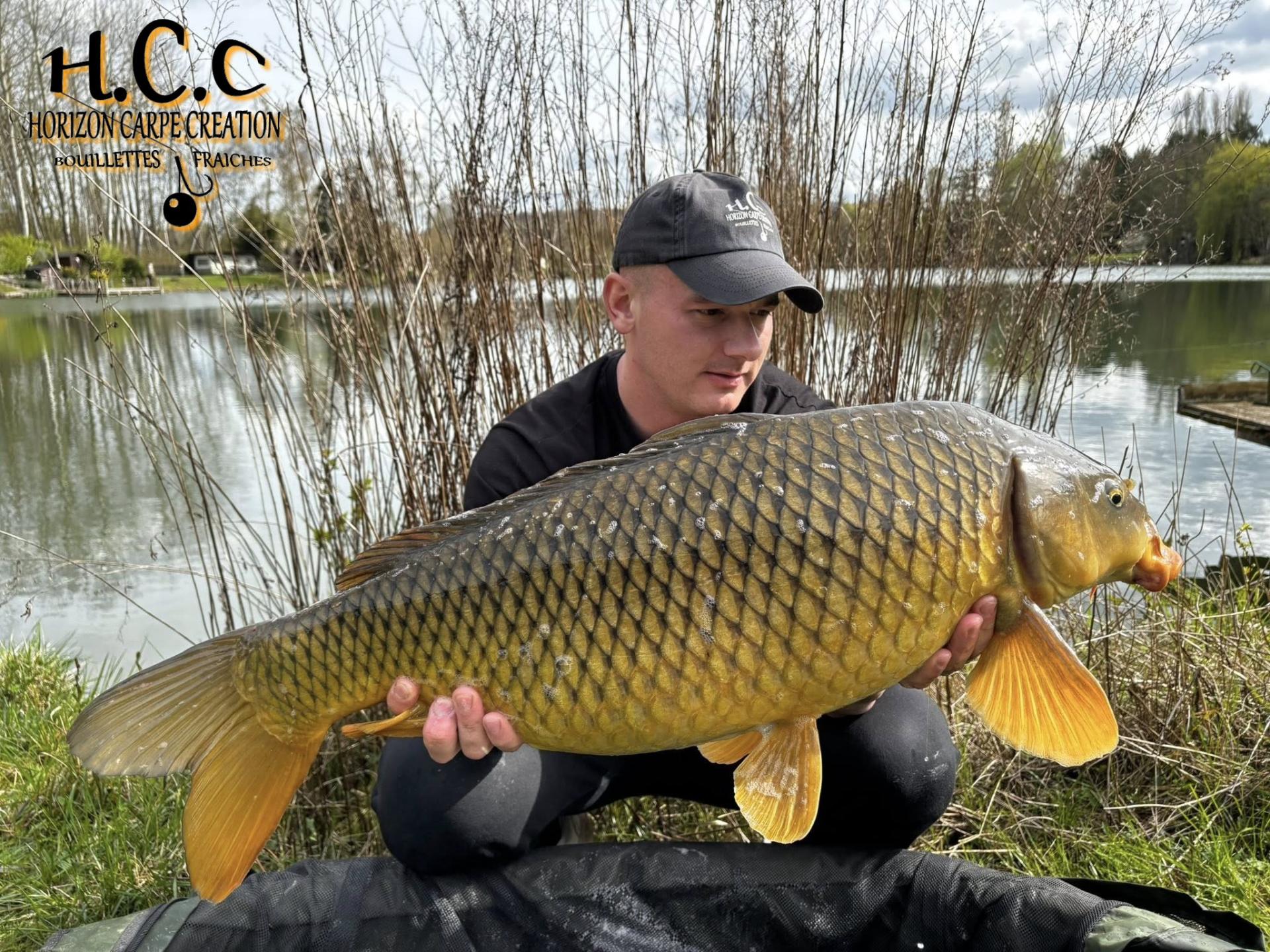 BAPTISTE GRELET - CONSULTANT HCC