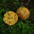 Bouillettes fraiches ail curry 1