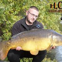 CEDRIC HAVY - CONSULTANT HCC