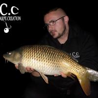 CEDRIC HAVY - CONSULTANT HCC
