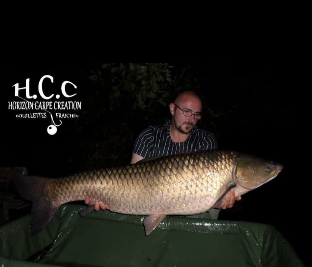 CEDRIC HAVY - CONSULTANT HCC