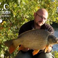 CEDRIC HAVY - TEAM HCC HAUTS DE FRANCE