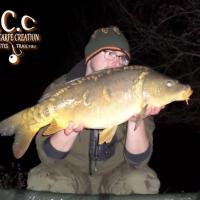 CEDRIC HAVY - CONSULTANT HCC