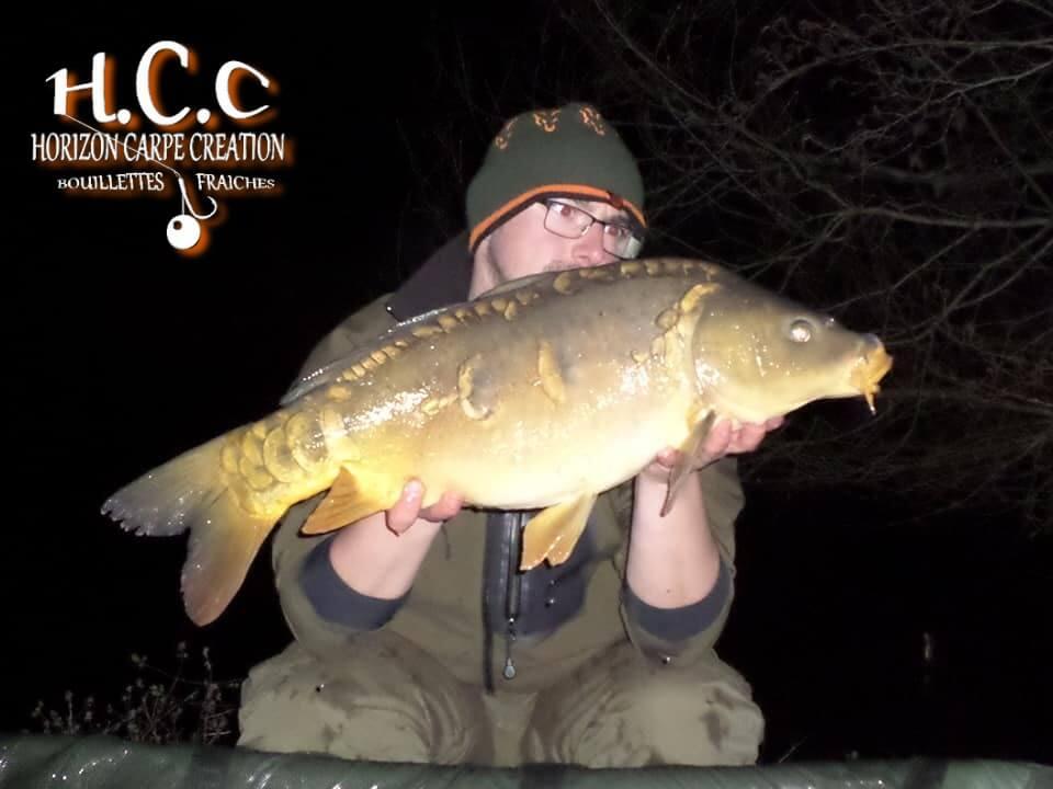 CEDRIC HAVY - CONSULTANT HCC