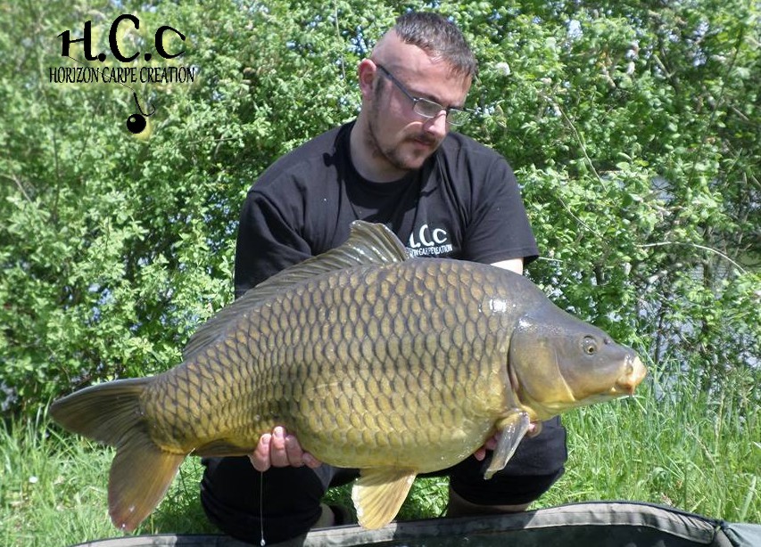 Cedrich03hcc