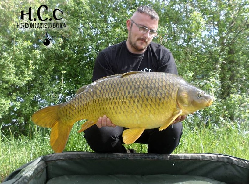 Cedrich04hcc
