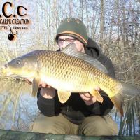 CEDRIC HAVY - CONSULTANT HCC