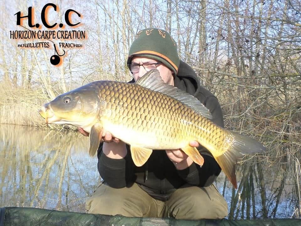 CEDRIC HAVY - CONSULTANT HCC