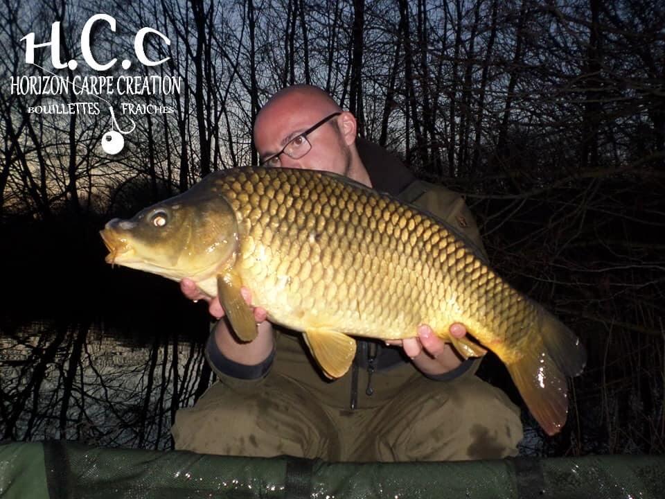 CEDRIC HAVY - CONSULTANT HCC