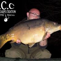 CEDRIC HAVY - CONSULTANT HCC