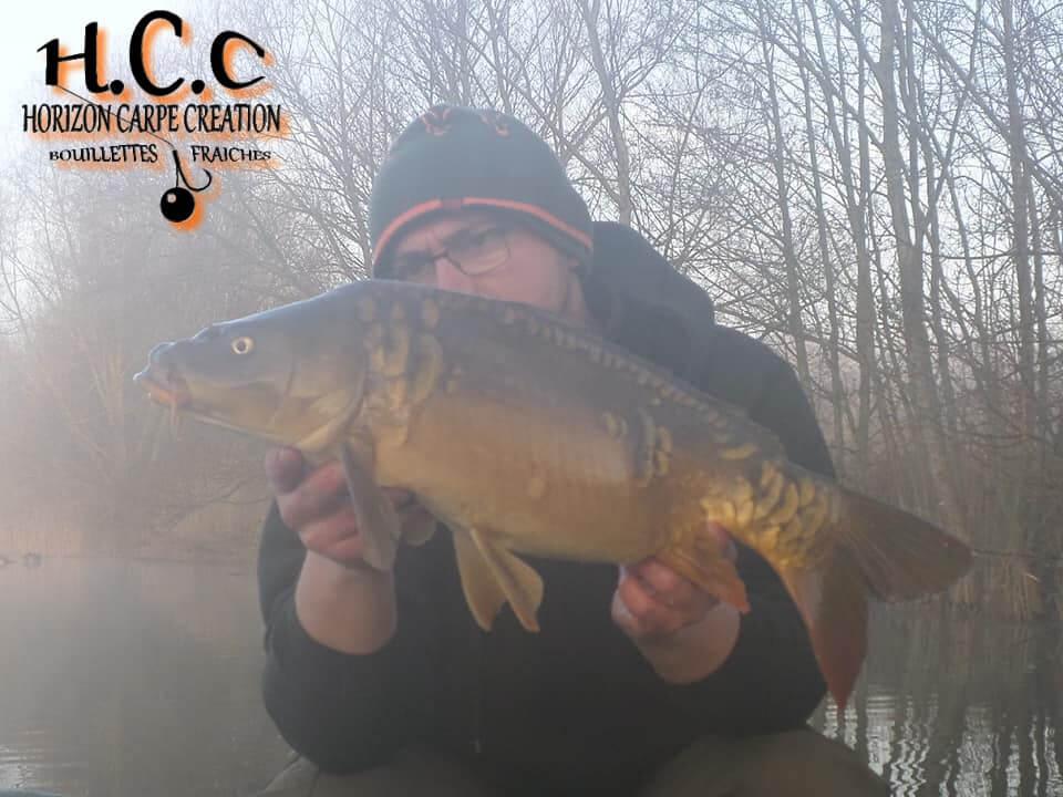 CEDRIC HAVY - CONSULTANT HCC