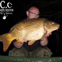 CEDRIC HAVY - CONSULTANT HCC