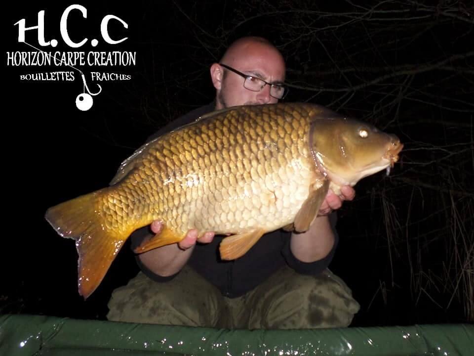 CEDRIC HAVY - CONSULTANT HCC