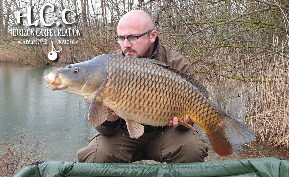 CEDRIC HAVY - CONSULTANT HCC