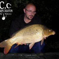 CEDRIC HAVY - TEAM HCC HAUTS DE FRANCE