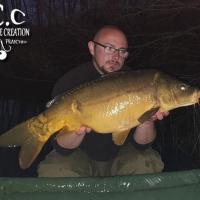 CEDRIC HAVY - CONSULTANT HCC