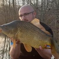 CEDRIC HAVY - CONSULTANT HCC