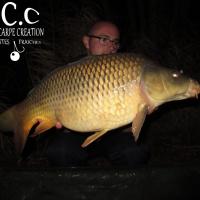 CEDRIC HAVY - CONSULTANT HCC