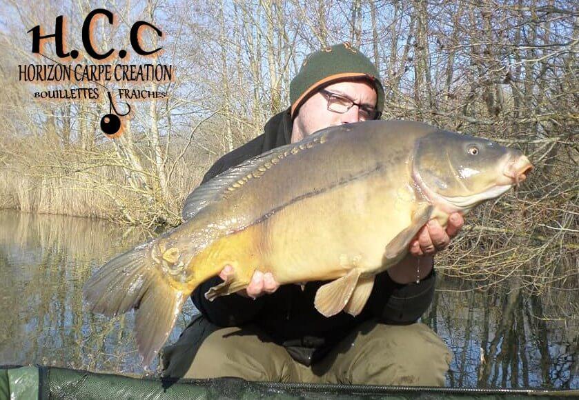 CEDRIC HAVY - CONSULTANT HCC