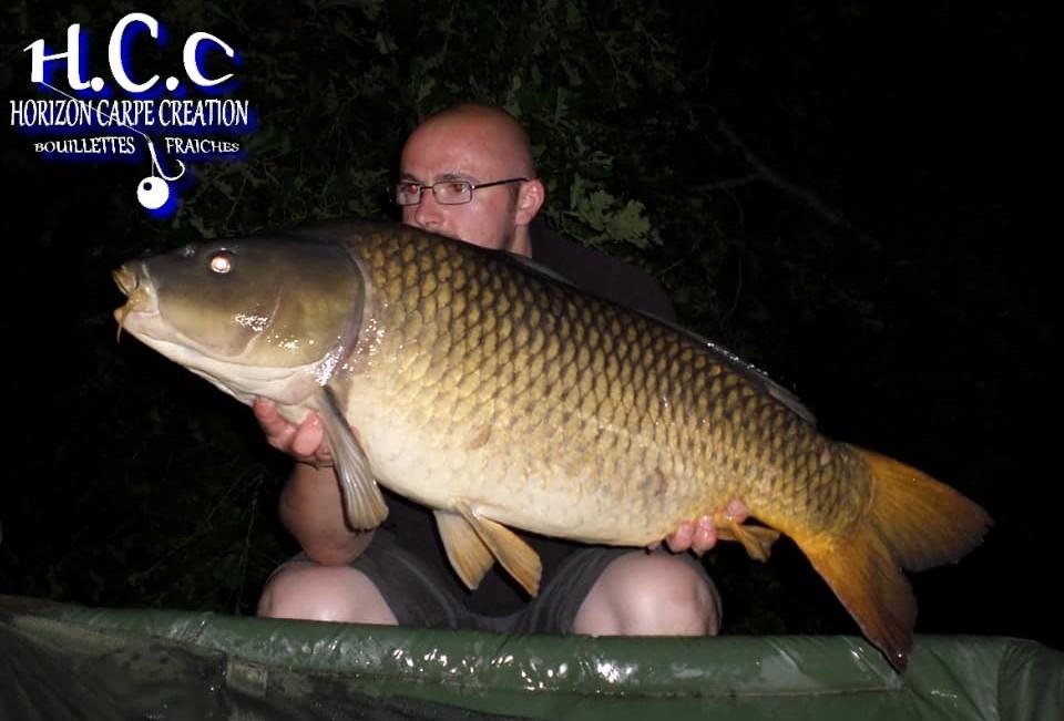 CEDRIC HAVY - CONSULTANT HCC