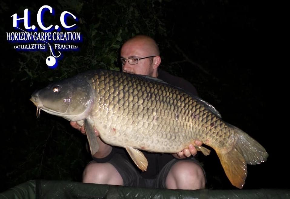 CEDRIC HAVY - CONSULTANT HCC