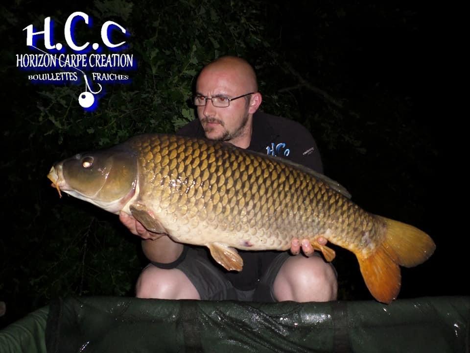 CEDRIC HAVY - CONSULTANT HCC