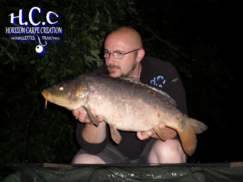 CEDRIC HAVY - CONSULTANT HCC