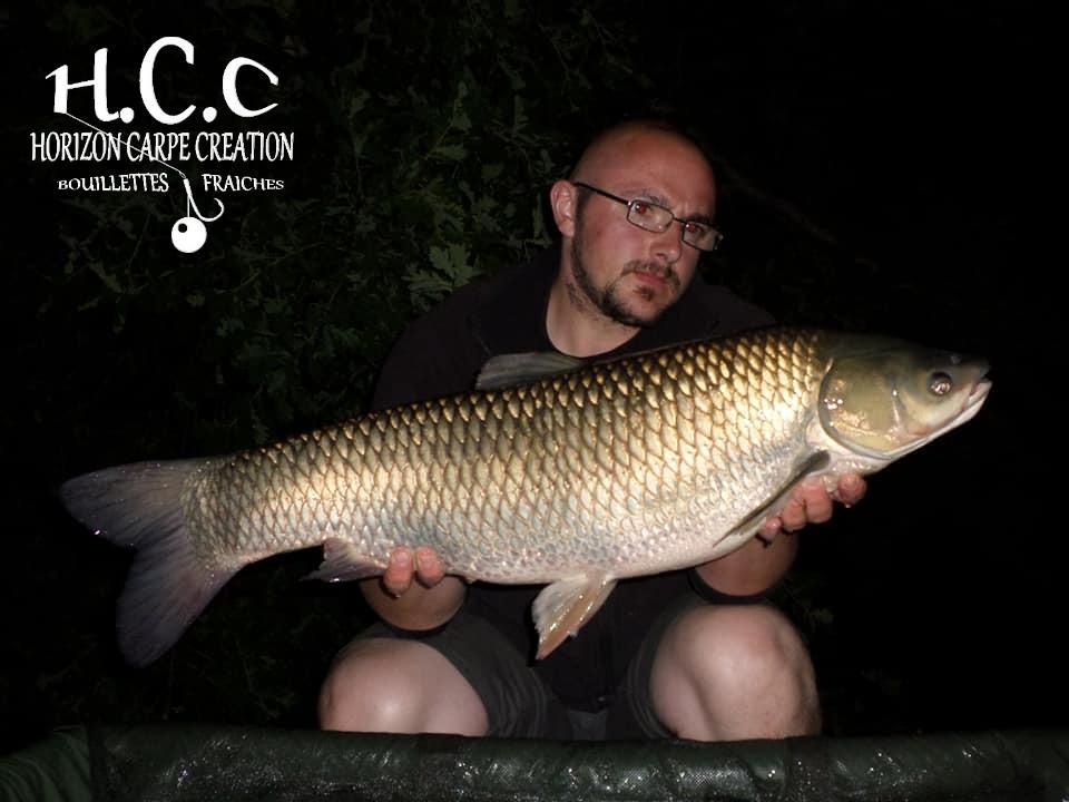 CEDRIC HAVY - CONSULTANT HCC