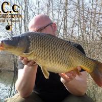 CEDRIC HAVY - CONSULTANT HCC