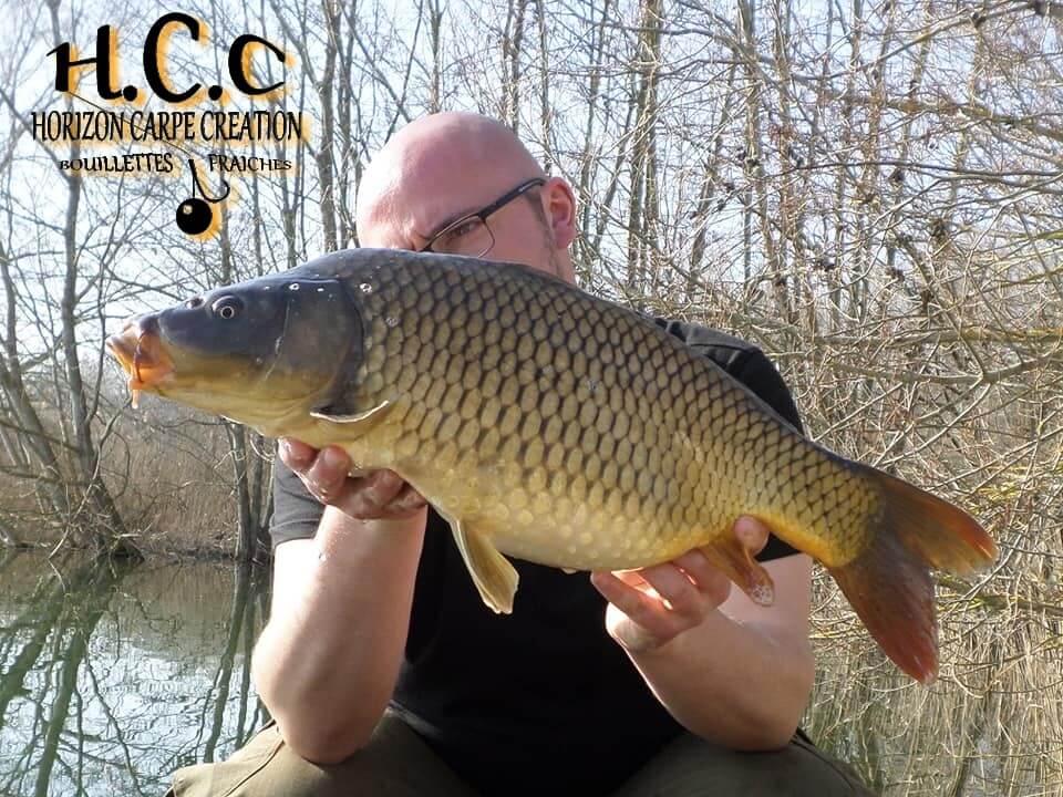 CEDRIC HAVY - CONSULTANT HCC