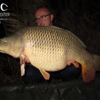 CEDRIC HAVY - CONSULTANT HCC