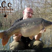 CEDRIC HAVY - CONSULTANT HCC