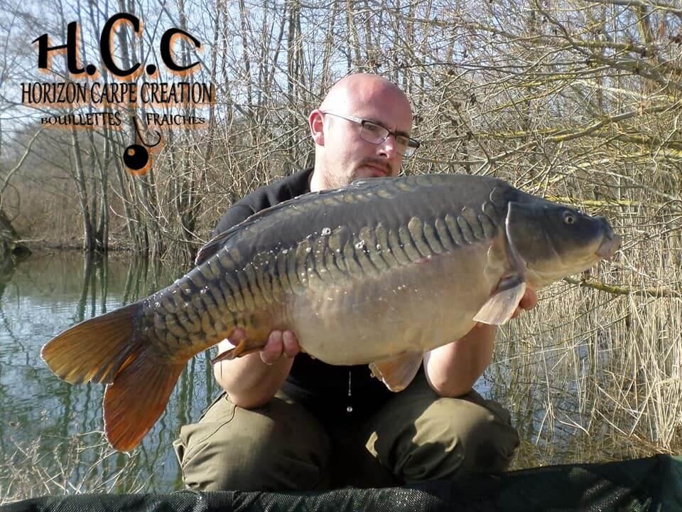 CEDRIC HAVY - CONSULTANT HCC