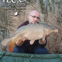 CEDRIC HAVY - CONSULTANT HCC