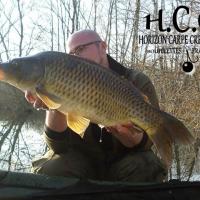 CEDRIC HAVY - CONSULTANT HCC