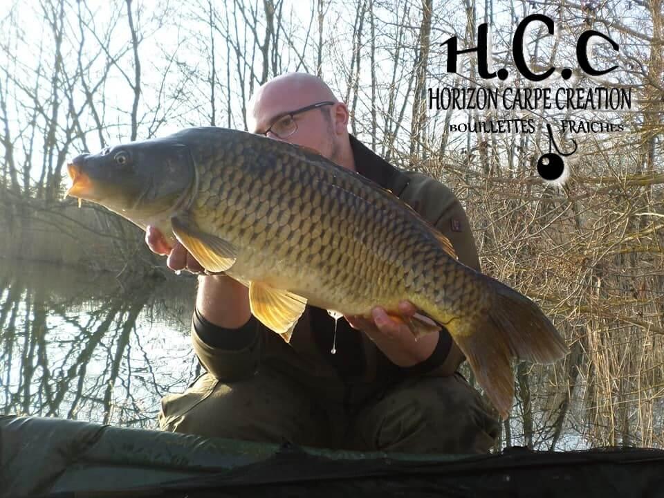 CEDRIC HAVY - CONSULTANT HCC