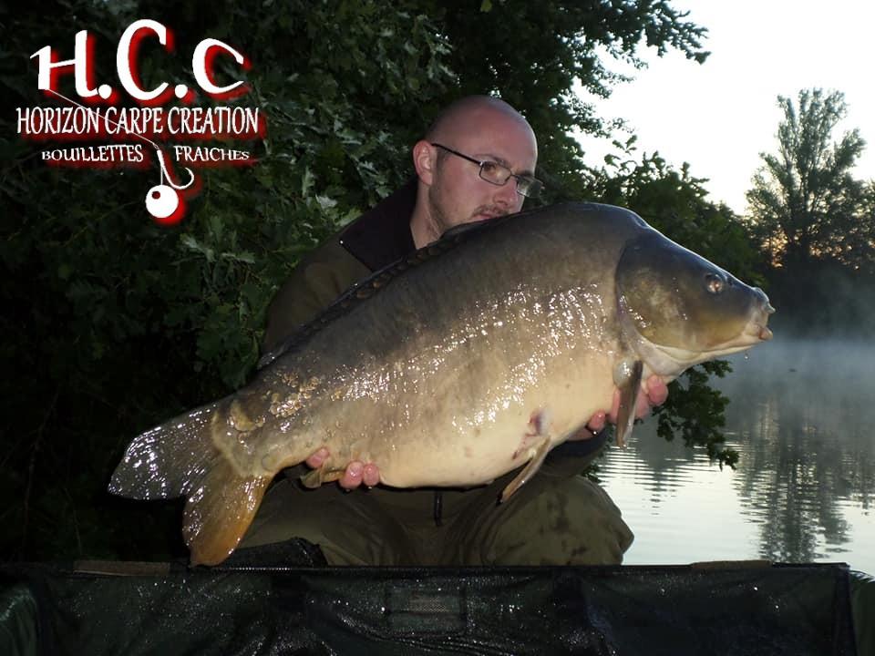 CEDRIC HAVY - CONSULTANT HCC