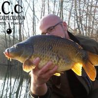 CEDRIC HAVY - CONSULTANT HCC