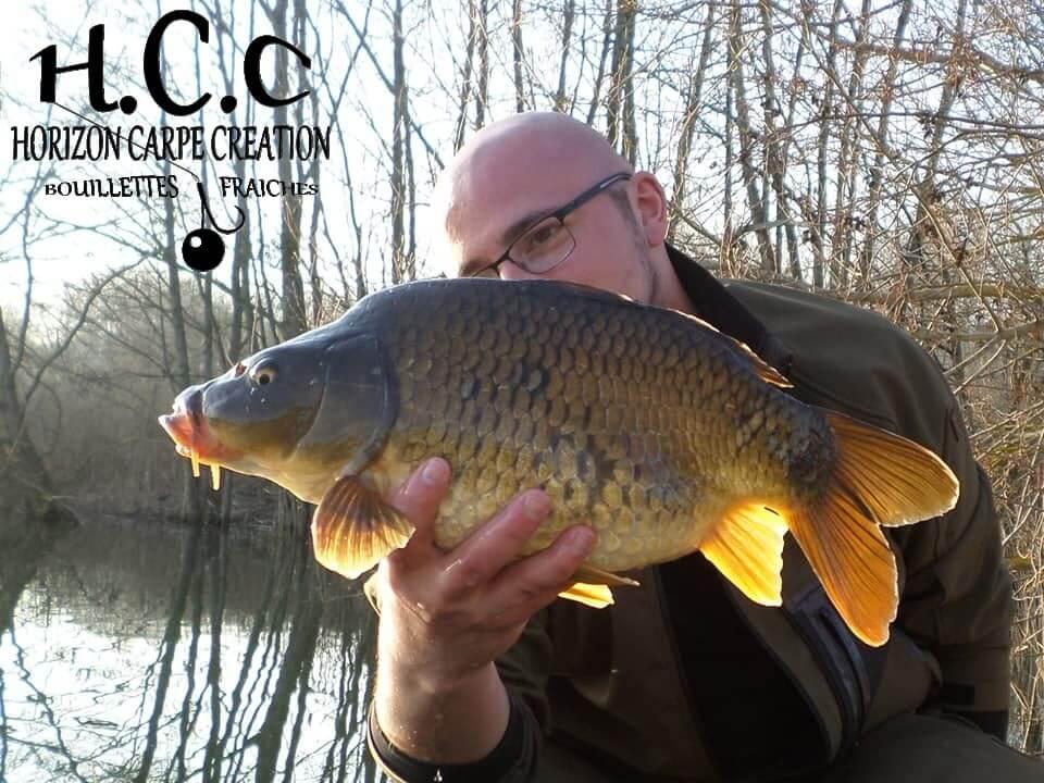 CEDRIC HAVY - CONSULTANT HCC