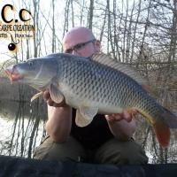 CEDRIC HAVY - CONSULTANT HCC