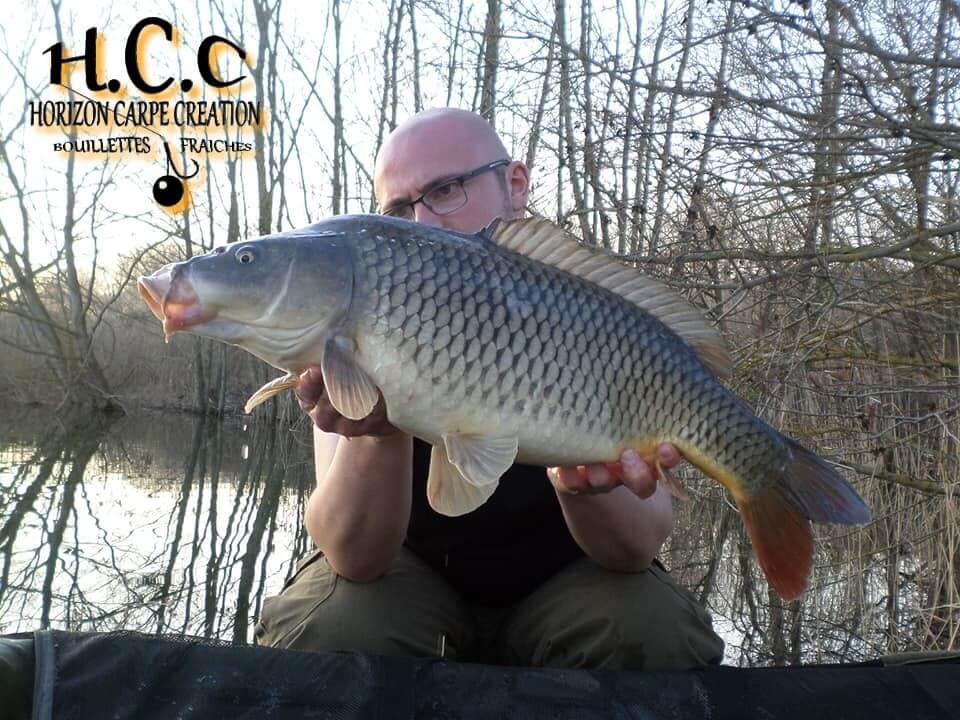 CEDRIC HAVY - CONSULTANT HCC