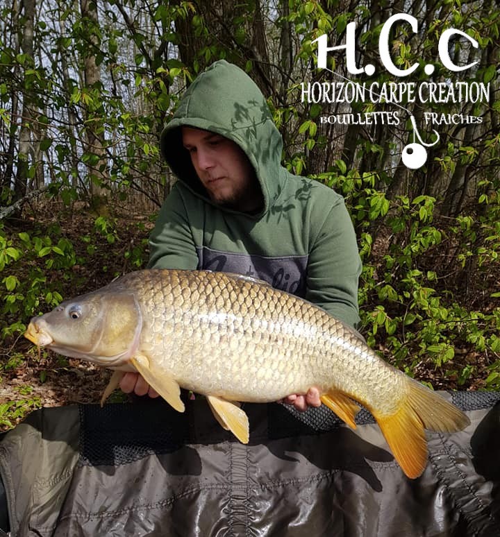 CHRISTOPHER LANSON - TEAM HCC