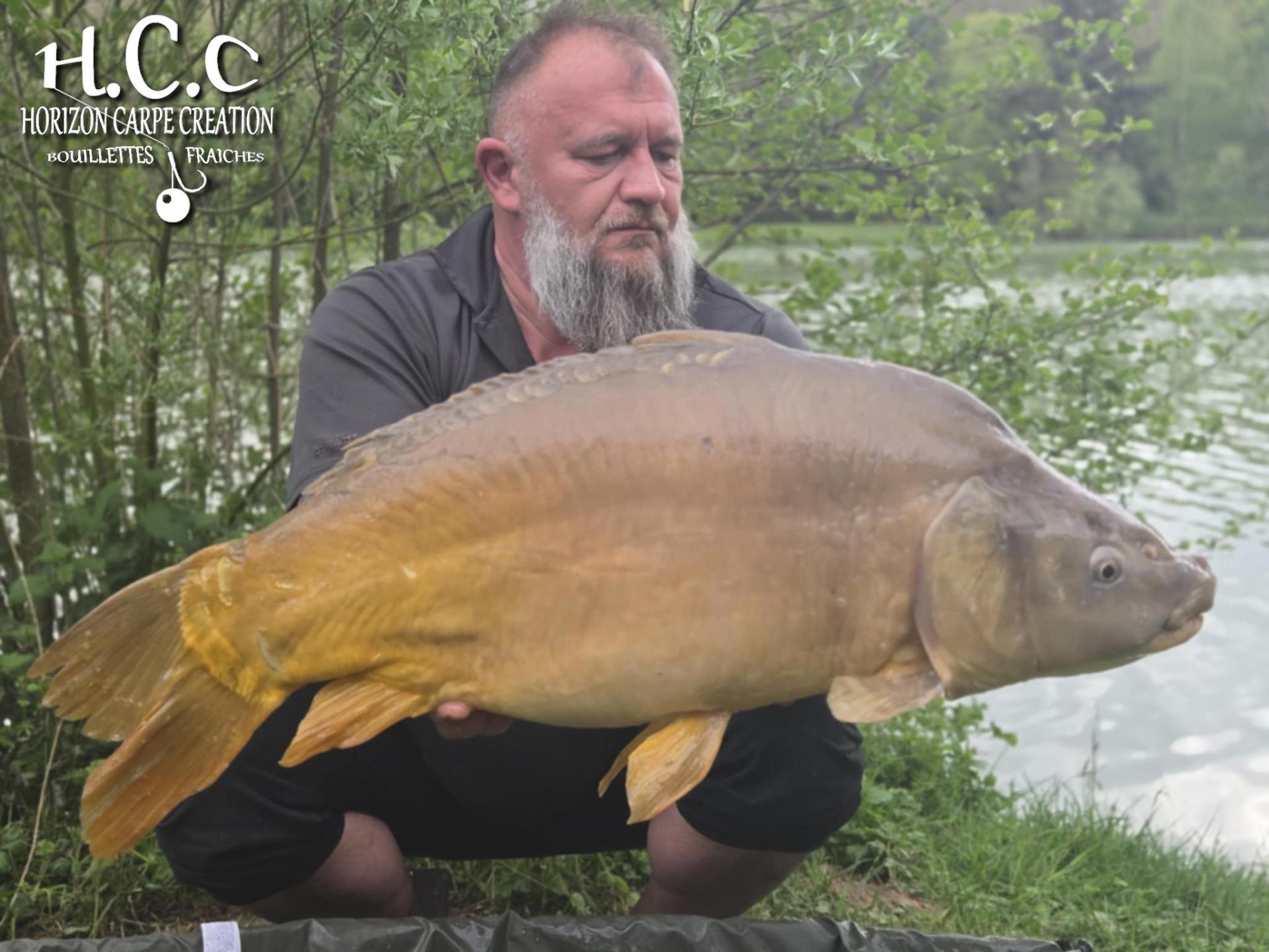 CHRISTOPHE COLLANGE - TESTEUR HCC