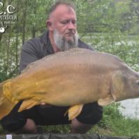 CHRISTOPHE COLLANGE - TESTEUR HCC