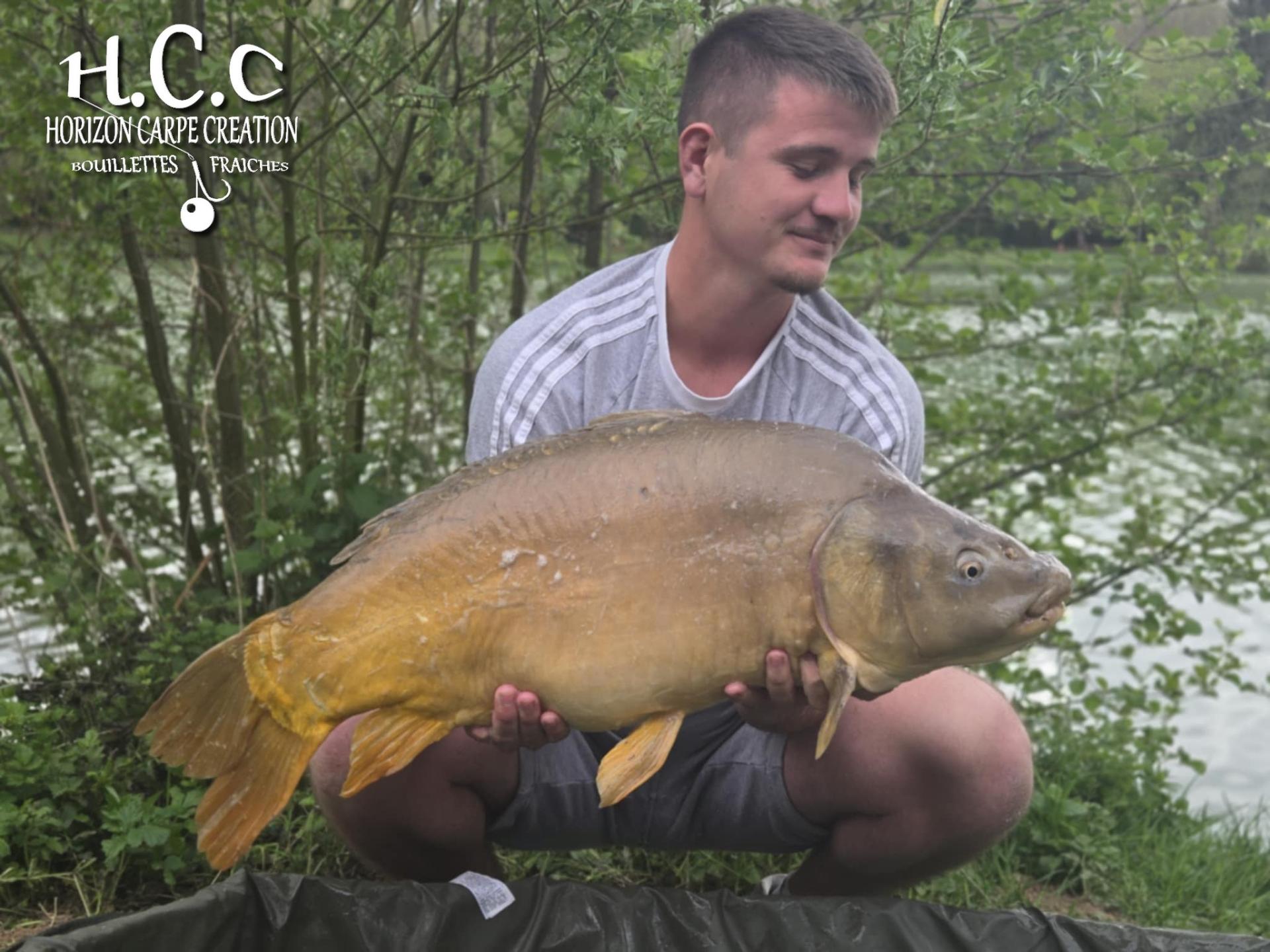 CHRISTOPHE COLLANGE - TESTEUR HCC
