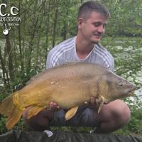CHRISTOPHE COLLANGE - TESTEUR HCC