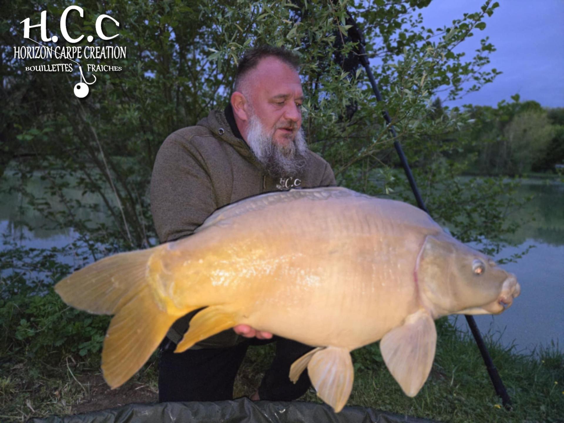 CHRISTOPHE COLLANGE - TESTEUR HCC